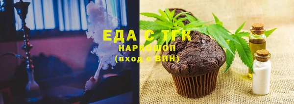 шишки Новодвинск