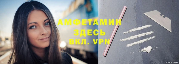 шишки Новодвинск