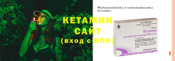 шишки Новодвинск