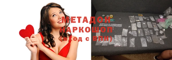 шишки Новодвинск