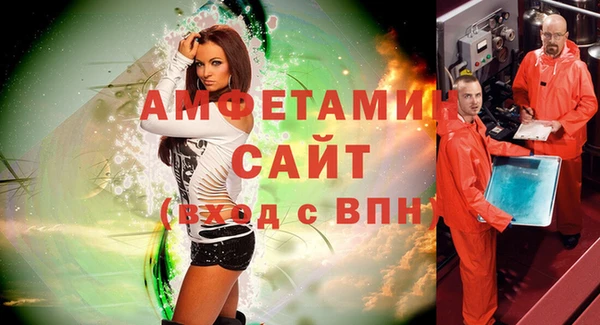 шишки Новодвинск
