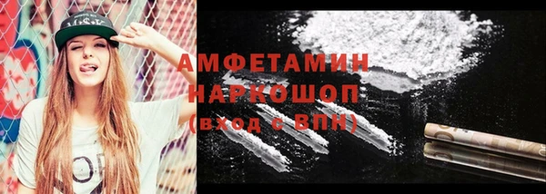шишки Новодвинск