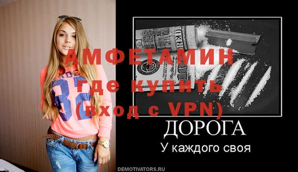 шишки Новодвинск