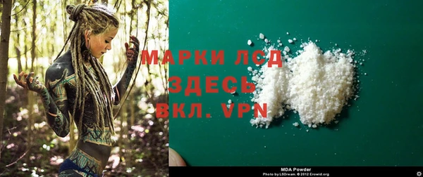 шишки Новодвинск