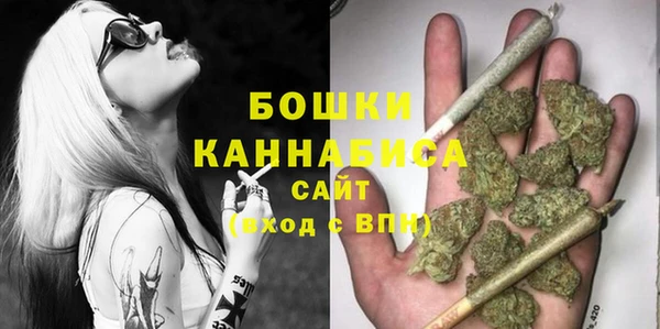 скорость Новозыбков