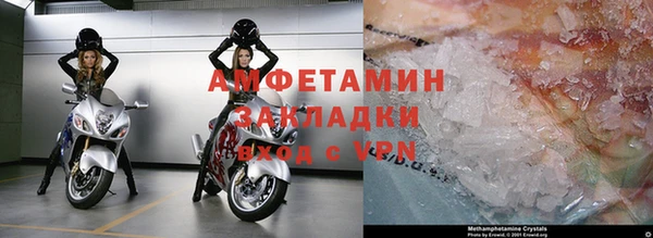 шишки Новодвинск